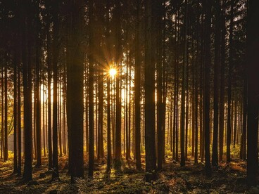 Se for verdadeiro, trata-se de um dos maiores tesouros não descobertos da história moderna. Se for falso, é um dos exemplos mais duradouros de lenda criptográfica. Em ambos os casos, o legado permanece