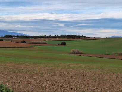 Del Gallecs rural hoy día protegido por el Consorcio, destaca la presencia relictual de vegetación de ribera. Gallecs, Santa Perpetua de Mogoda, Barcelona, España