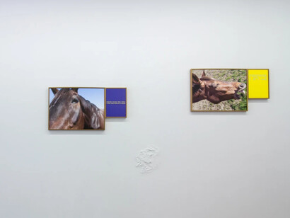 Various artists, Swiftian drift, exhibition view. Courtesy of Kevin Kavanagh