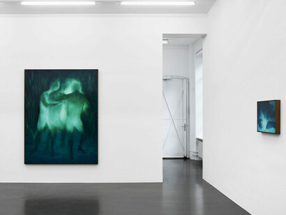 Xie Lei, Désarroi, exhibition view. Courtesy of Sies + Höke