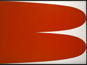 Ellsworth Kelly. In Focus. Courtesy of Tate Liverpool