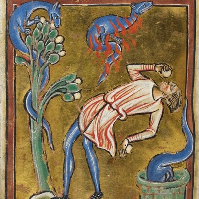 Salamandra, dal Bestiario Royal MS 12 C XIX, 1200-1210. British Library, Londra, UK
