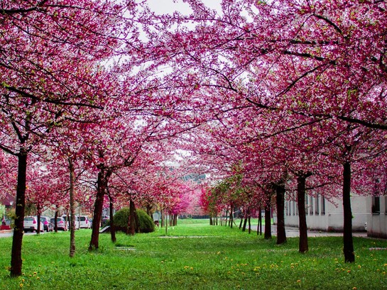 L’importante è restare muovendosi, ma solo dove c’è salvezza
