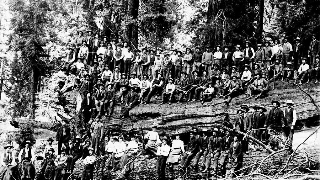 Grupo de homens sobre o toco colossal de uma árvore derrubada na Serra Nevada, nos Estados Unidos. Não era uma árvore qualquer. Era uma sequoia gigante. Mais de um século depois, a imagem ressurge como um assombro. Não apenas por sua escala, mas pelo que ela revela: a arrogância humana diante da natureza milenar. Aqueles homens, no topo do tronco, celebravam um suposto progresso. Não viam um crime. Viam uma conquista. A indústria exigia espaço, as ferrovias precisavam avançar, o “desenvolvimento” exigia sacrifícios. E foi assim que árvores com milhares de anos foram postas abaixo em questão de dias