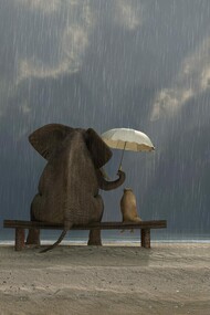 Nel mondo oggi c’è bisogno di gentilezza