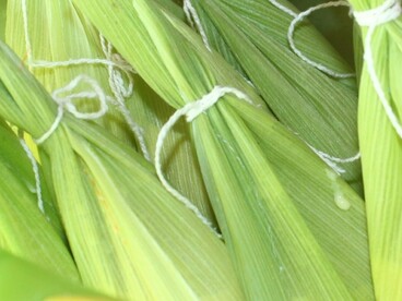 Da pamonha ao empadão, da feira ao restaurante autoral, da simplicidade ao refinamento, a cidade revela sua alma através da comida. Mais do que pratos típicos, a gastronomia goiana é um estilo de vida. É sobre reunir, compartilhar, celebrar e manter viva a essência de um povo acolhedor e orgulhoso de suas raízes