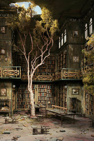 Il fascino irresistibile delle biblioteche