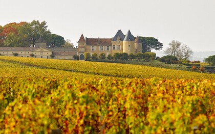 Château d’Yquem a Sauternes, Francia. Lo Château d’Yquem è l’unico vino dolce a detenere la classificazione di Premier Cru Supérieur, conferita nel 1855 per la qualità superiore e costante nel tempo