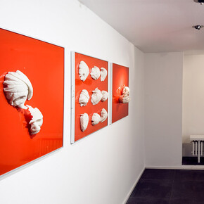 Lidó Rico, De rerum naturae, exhibition view. Courtesy of Luisa Catucci Gallery