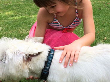 « Ne me mange pas » : dans leurs bras, nos chiens ne sont pas des symboles culturels, mais des membres de la famille