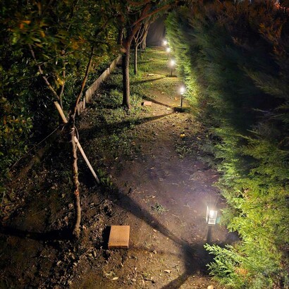 Vanni Cuoghi, Cesare Galluzzo, Asako Hishiki, Significare il giardino. Armonie, tracce e misteri, serra della Casa del Sole, Ceranesi (GE), agosto 2025. Ph. Diego Santamaria