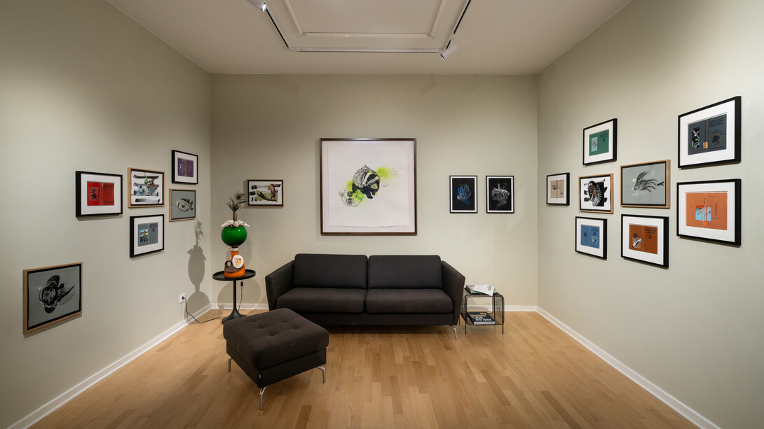 Helga Schmidhuber, Morpheus mango mau, exhibition view. Courtesy of Aoa;87 Gallery. Photo by Dotgain