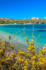 Le saline Palau, Sardegna. Hotel Delphina