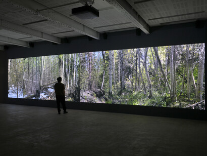 Eija-Liisa Ahtila, On breathing, vue d'exposition. Avec l’aimable autorisation de la galerie Marian Goodman