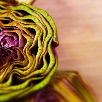 La raccolta avviene tra marzo e maggio, quando il carciofo raggiunge la sua piena maturazione e gusto ideale