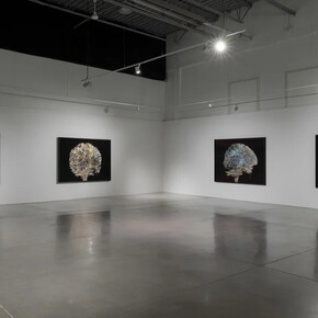 Geneviève Cadieux, Wild is the wind, exhibition view. Courtesy of Blouin Division
