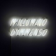 Alfredo Jaar, M’illumino d’immenso, 2009,
Neon, 46 x 94 x 5 cm. Courtesy of the artist, New York and Galleria Lia Rumma, Milano