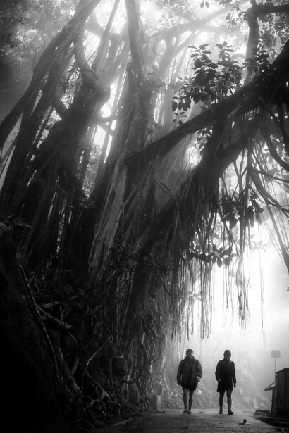 Jay Khan, Morning walk (detail). Courtesy of Sin Sin Fine Art