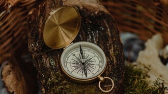 Ogni desiderio autentico crea un campo magnetico che rende più sensibili ai segnali che il mondo ci rimanda