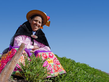Trabajadora rural en un campo de papas en Ingenio, Perú