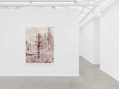 Marcel Berlanger, La disparition des limicoles, vue d'exposition. Avec l'aimable autorisation de la galerie Rodolphe Janssen