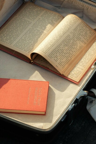 Viagem que lembra as arqueológicas descobertas de alguma “grande metrópole de um povo extinto, de uma nação que foi poderosa e celebrada, mas que desapareceu da face da Terra e só deixou o monumento de suas construções gigantescas” (p. 132)