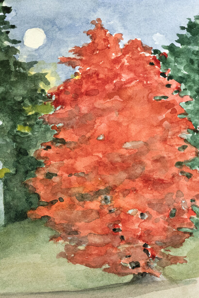 Marguerite Robichaux, Sugar maple (MR401) (detail). Courtesy of Pucker Gallery