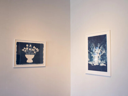 Daniela Oliver de Portillo, So marvelous, de nuevo florece, exhibition view. Courtesy of Ruiz-Healy Art Gallery