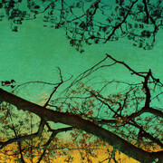 Albarrán Cabrera, The mouth of Krishna #225 (détail), 2013. Avec l'aimable autorisation des Douches la Galerie