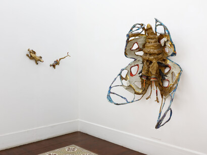 Rosa Panaro, exhibition view. Courtesy of Galleria Tiziana Di Caro