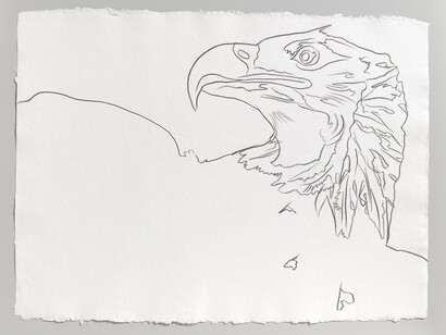 Andy Warhol, Endangered Species: Bald Eagle, 1983, Graphite on HMP paper, 60.3 x 80.6 cm (23.75 x 31.75
in), © Andy Warhol, Courtesy: Galerie Thaddaeus Ropac Paris · Salzburg, Foto: Andy Warhol Foundation