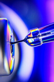 The virus continues to mutate, producing new variants