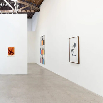 Kunié Sugiura, X-ray island, exhibition view. Courtesy of Moskowitz Bayse 