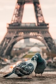 Busca de complementação
