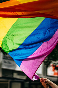 O Dia Internacional do Orgulho LGBTQIAPN+ celebra a diversidade sexual e de gênero e destaca a importância da luta por direitos civis, igualdade e respeito. Comemore essa data refletindo sobre as conquistas e os desafios da comunidade LGBTQIAPN+