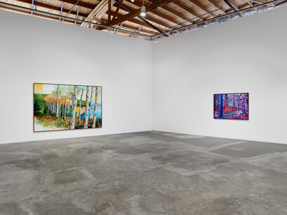 Ross Caliendo, Peace fellow, exhibition view. Courtesy of the artist and Night Gallery, Los Angeles. Photography by Marten Elder