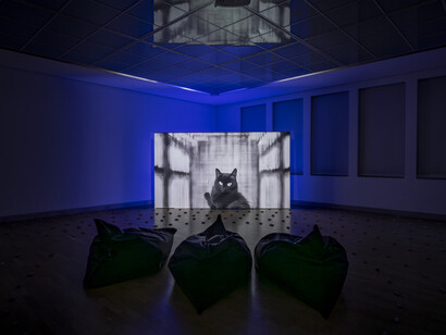 Femke Herregraven, The murmur of the dying. Mit freundlicher genehmigung des Kunstraum Niederösterreich
