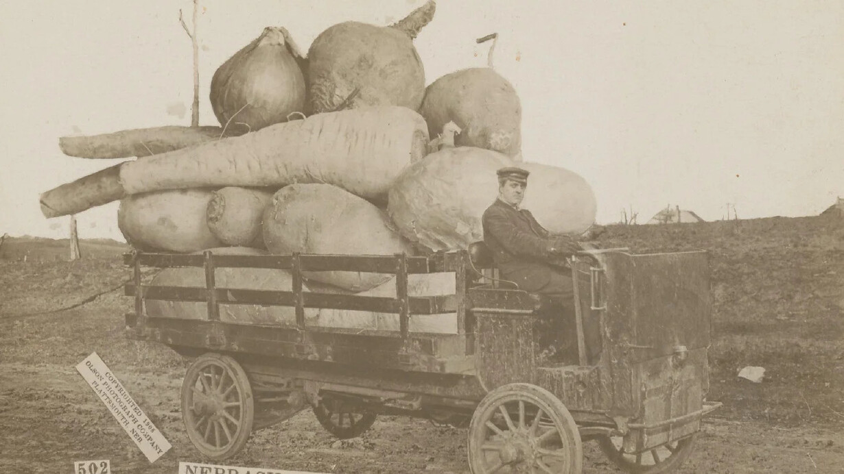 Fake! Courtesy of Rijksmuseum