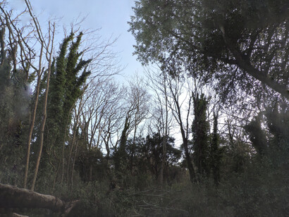 La simplicidad de una rutina basada en meditar, ordenar el espacio y trabajar por bloques ayuda a que la creación fluya sin presión ni urgencias. Villa Serrana, Lavalleja, Uruguay