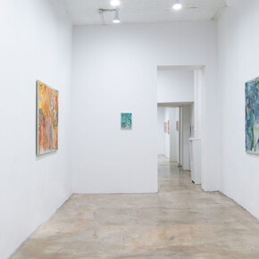Joe Warrior-Walker, Ley lands, exhibition view. Courtesy of Massey Klein Gallery