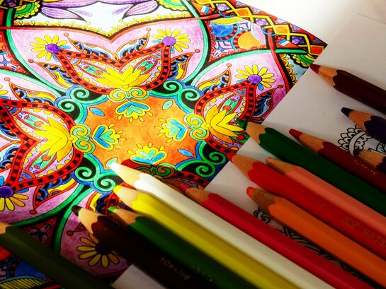 A ansiedade social pode limitar oportunidades valiosas: de conquistar o emprego dos sonhos a fazer amizades ou se abrir para relacionamentos afetivos. A boa notícia é que há caminhos para lidar com ela. Em Ansiedade social: enfrentando seus medos e aproveitando os contatos sociais com a terapia cognitivo-comportamental, o especialista em TCC Stefan G. Hofmann oferece técnicas comprovadas para transformar o medo em segurança emocional