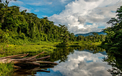 Manu National Park, Peru