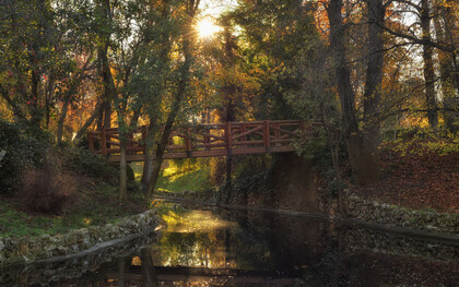 Parque Retiro o Parque del Buen Retiro, 2023, el gran pulmón de Madrid, España