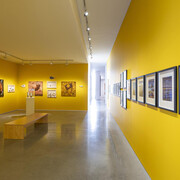 Fero Lipták, Meno, mesto, zviera, vec... (Name, city, animal, thing...), exhibition view. Courtesy of Danubiana