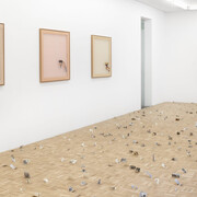 Clara Sánchez Sala, Del marfil al color hígado, vista de exhibición. Cortesía de la Galería NF/Nieves Fernández 