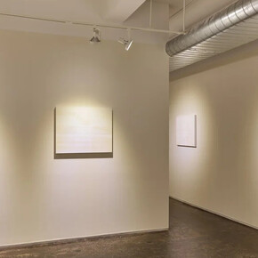 Gloria Maximo, Meso level, exhibition view. Courtesy of A.I.R. Gallery