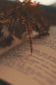 La literatura es desborde vital, una forma de existencia intensificada, donde la palabra se vuelve grito, revelación o consuelo frente a lo innombrable, lo absurdo y lo inmenso de la experiencia humana