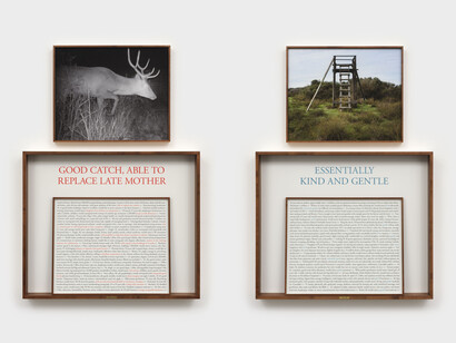 Sophie Calle, On the hunt, 1950–1960 (Good
catch, able to replace late mother / Essentially kind and gentle), 2024. Courtesy of Paula Cooper Gallery