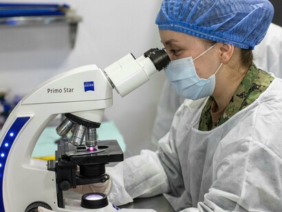 Studying tiny systems that unlock big advances in medicine and research