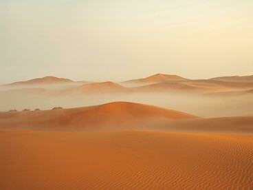 Golden dunes at dusk, reflecting the patience behind Morocco’s long-standing pursuit of peace